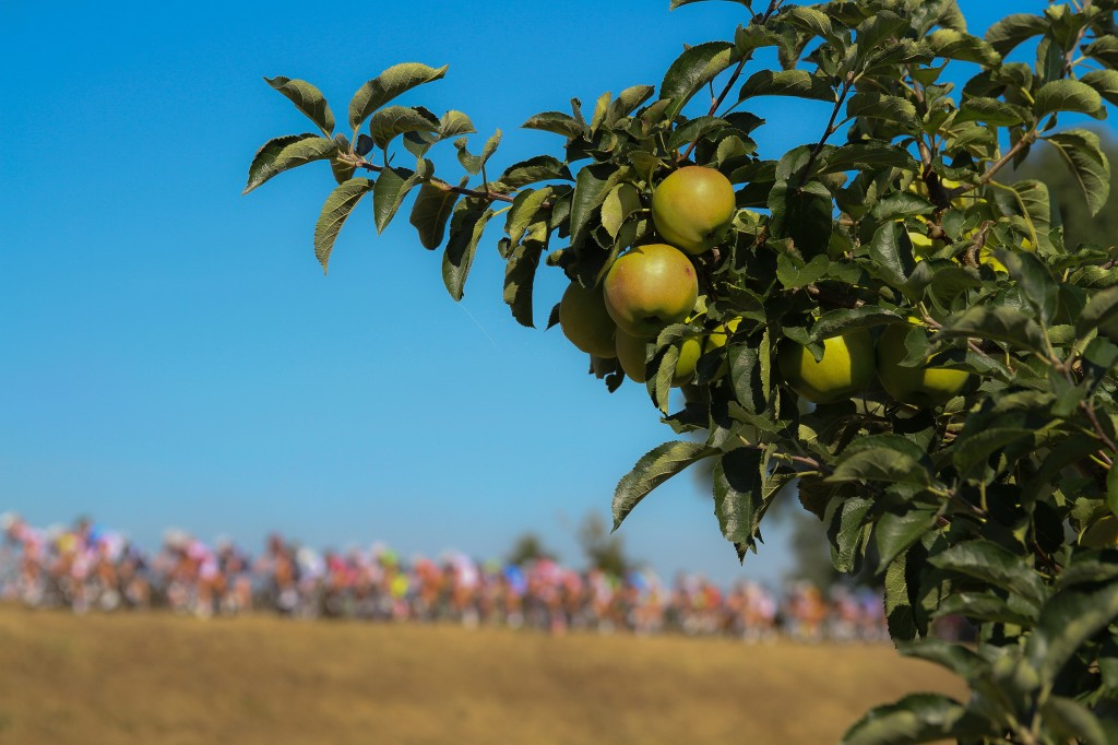 Boels Rental Ladies Tour start met tijdrit in Tiel